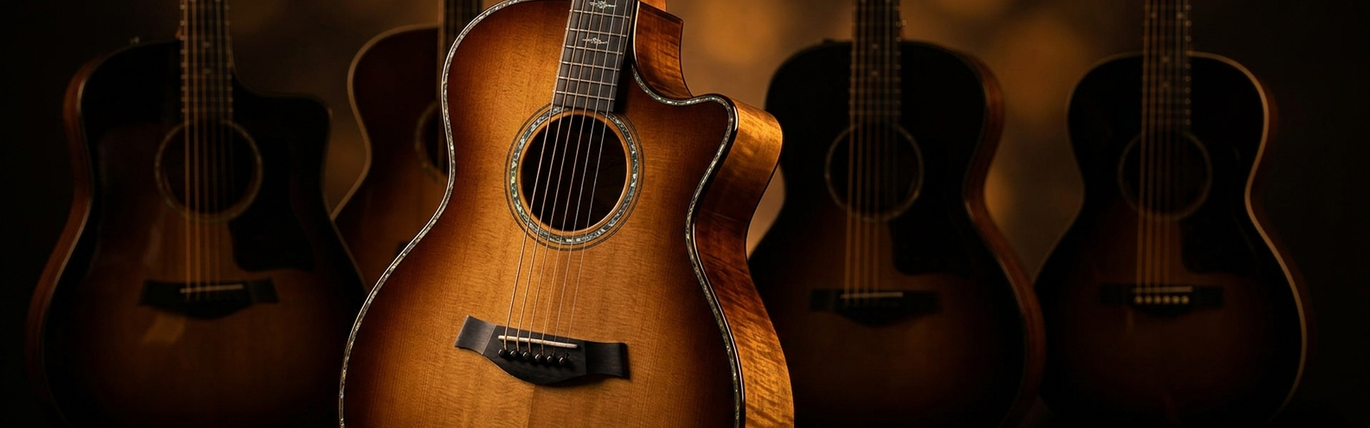 Acoustic Guitars