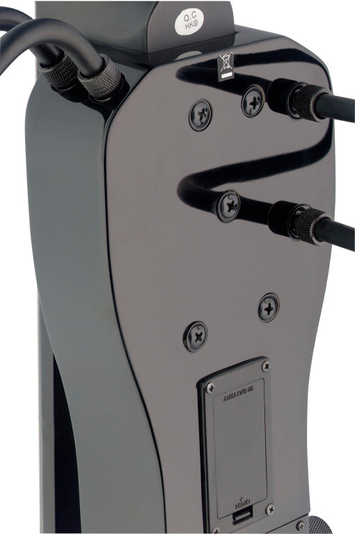 STAGG ECL 4/4 BK 4/4 electric cello with gigbag - black