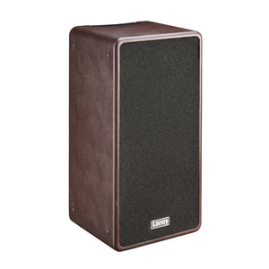 LANEY A-Duo Acoustic guitar amplifier, 120 W, 2 x 8", with FX