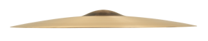 Sabian 22172 21" AA Raw Bell Dry Ride