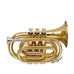 STAGG WS-TR245S Bb Pocket Trumpet, ML-bore, Brass body material