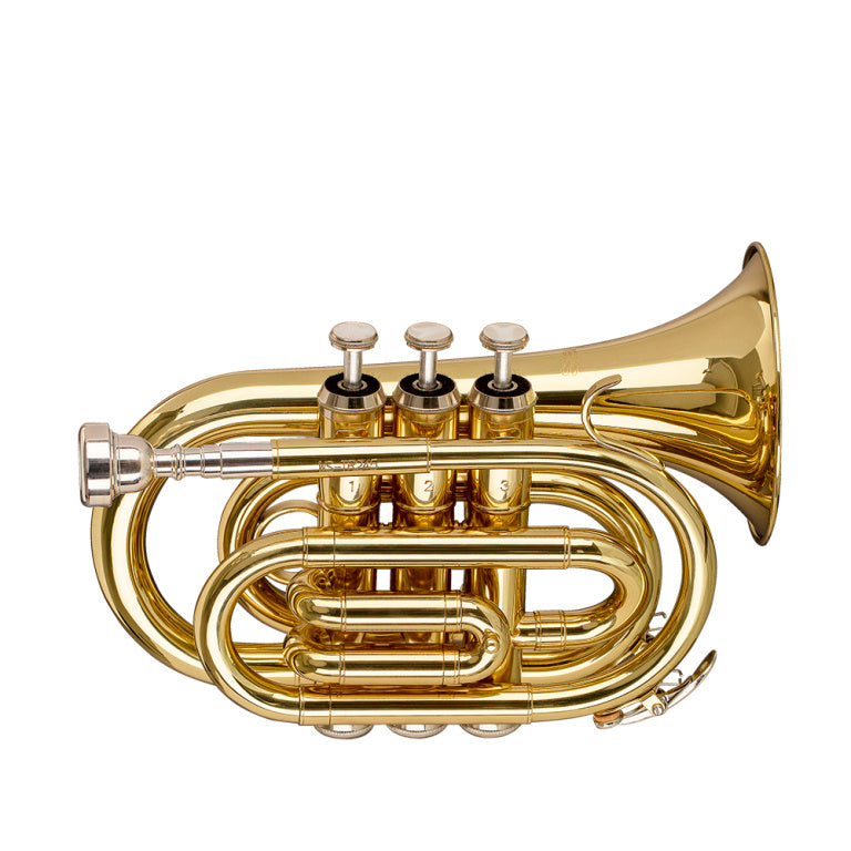 STAGG WS-TR245S Bb Pocket Trumpet, ML-bore, Brass body material