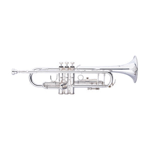 STAGG LV-TR6301 Bb Trumpet - Bell and leadpipe in gold brass