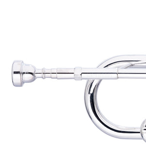 STAGG LV-TR6301 Bb Trumpet - Bell and leadpipe in gold brass