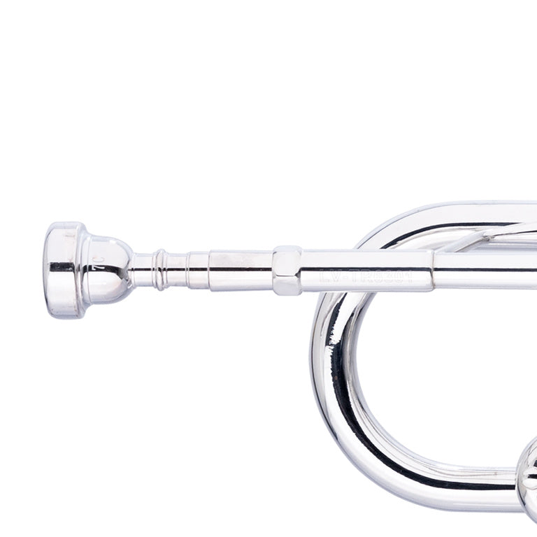 STAGG LV-TR6301 Bb Trumpet - Bell and leadpipe in gold brass