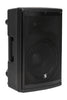 AS12B US 12" 2-way active speaker, class AB, Bluetooth TWS Stereo, 2 UHF mics, 150 watts, battery powered Stagg