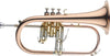 LV-FH6205 Bb Flugelhorn, Goldbrass instrument Stagg