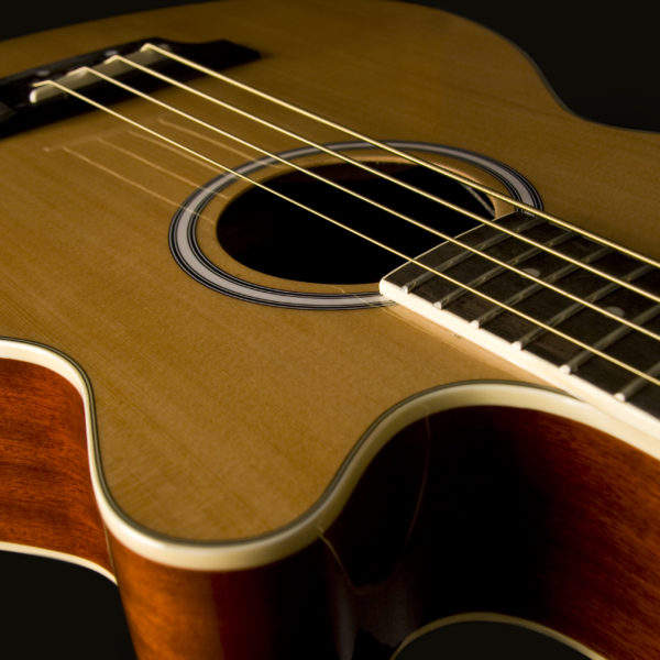 Washburn AB5K-A-U AB5 Cutaway Acoustic Electric Bass Guitar - Natural