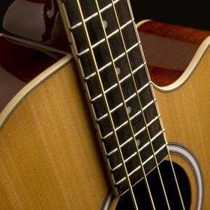 Washburn AB5K-A-U AB5 Cutaway Acoustic Electric Bass Guitar - Natural
