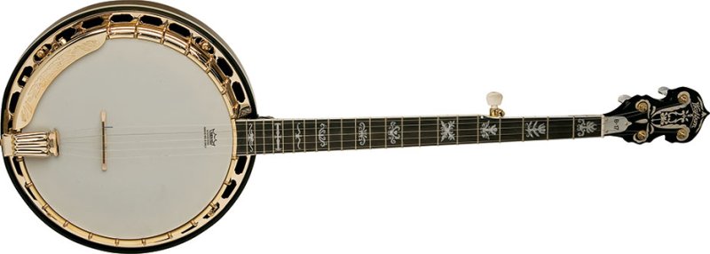 Washburn B17K-D-U B17 Americana Series (5 String) Banjo - Tobacco Sunburst