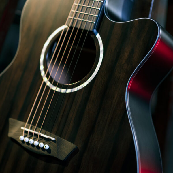Washburn DFEACE-A-U Ebony ACE