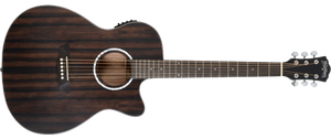 Washburn DFEACE-A-U Ebony ACE