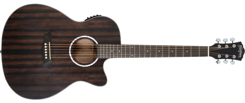 Washburn DFEACE-A-U Ebony ACE