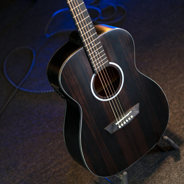 Washburn DFEFE-A-U Ebony FE