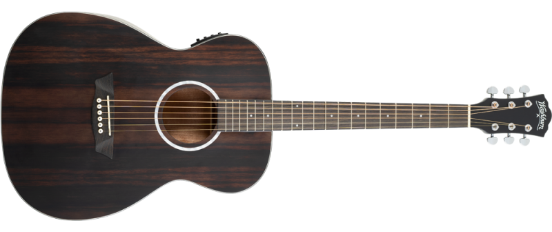 Washburn DFEFE-A-U Ebony FE