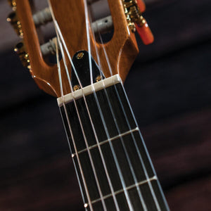 Washburn EACT42S-A-U EACT42S Festival Series Nylon String Cutaway Classical Acoustic Electric Guitar - Natural