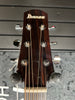 Ibanez AAD51CE Acoustic-electric Guitar - Natural