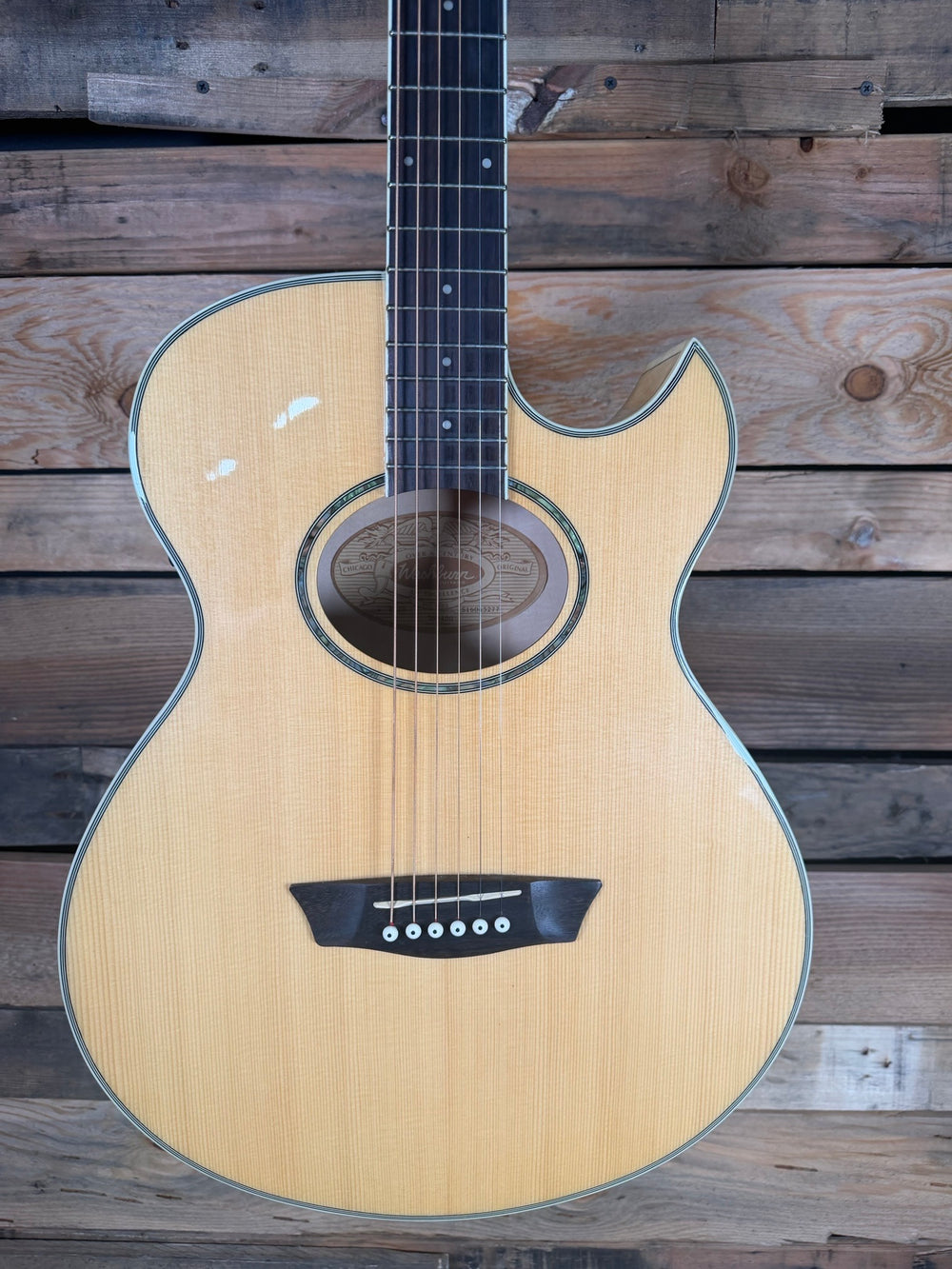 Washburn EA20 Acoustic Guitar (Pre-Owned)