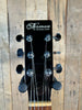 Norman B20 Encore Burst Presys 40th Anniv. LTD Ed. Acoustic-Electric Guitar (Pre-Owned)