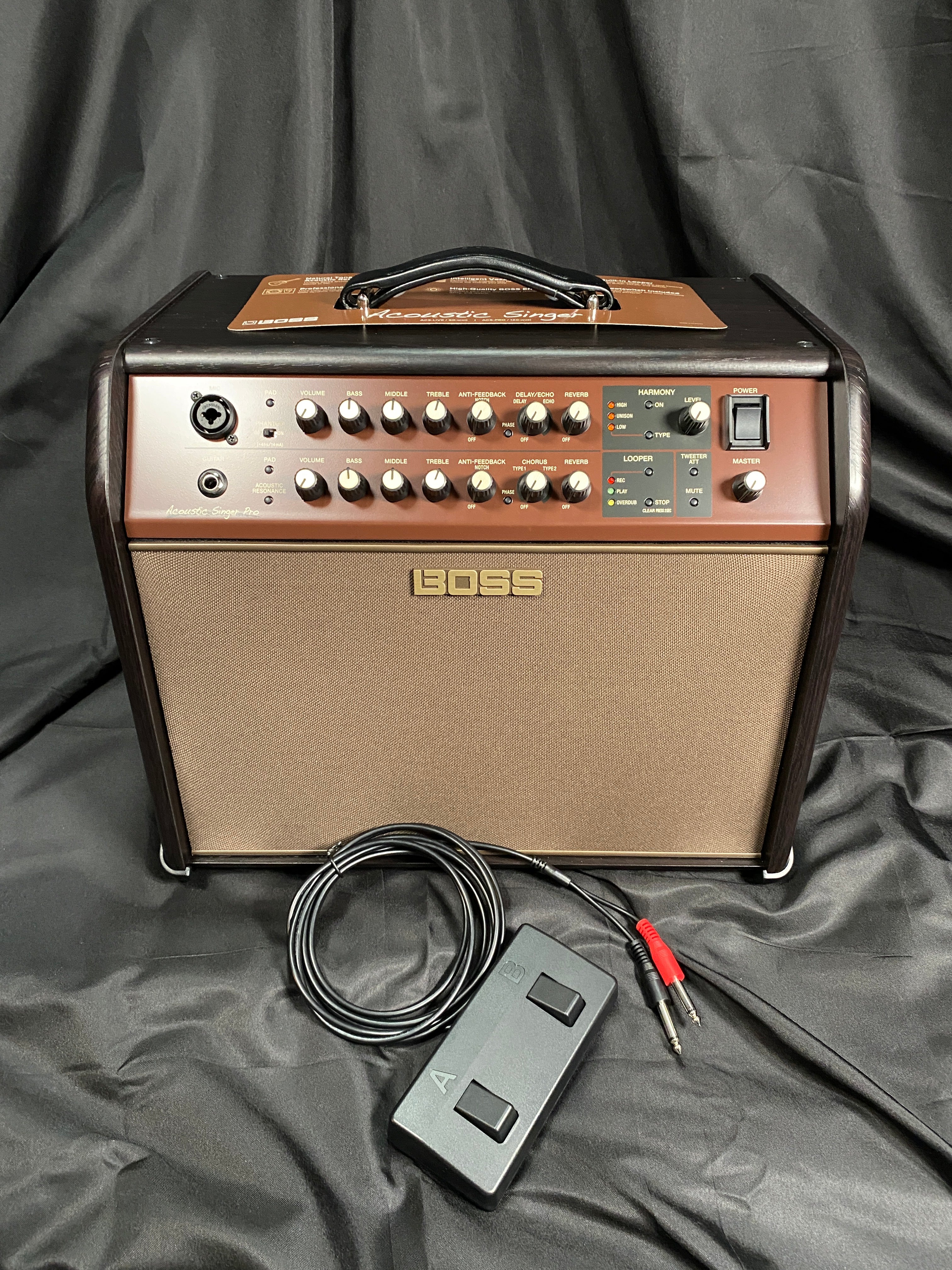 Boss Acoustic Singer Pro Acoustic Amplifier-120 Watt