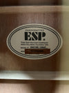 ESP LTD Xtone AC-10E 12 String Acoustic/Electric Guitar-Natural (Pre-Owned)