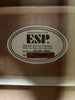ESP LTD Xtone AC-10E 12 String Acoustic/Electric Guitar-Natural (Pre-Owned)