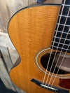 Taylor 314-ce Acoustic Guitar (pickup doesn't work)