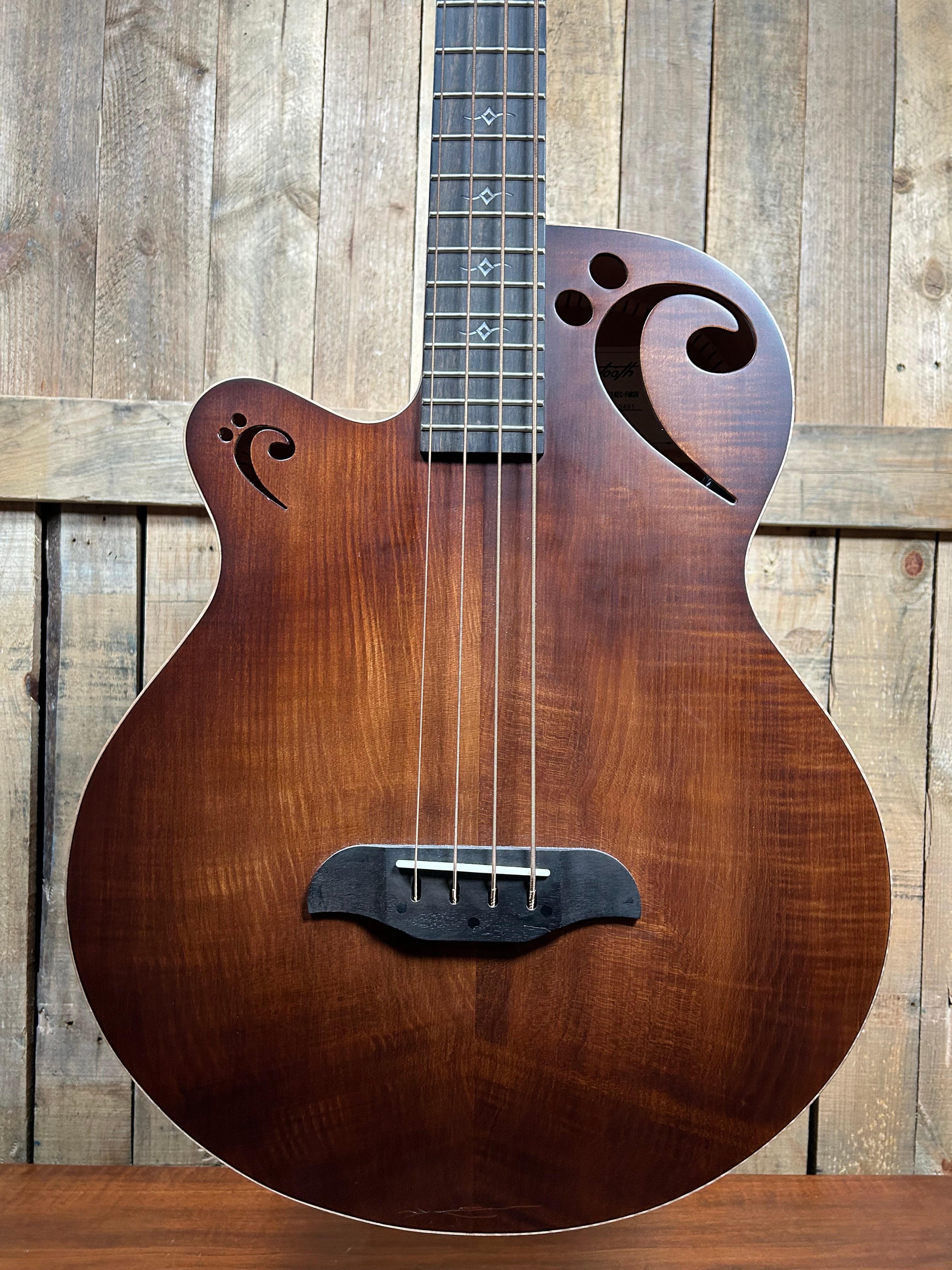 Rudy sarzo acoustic bass new arrivals