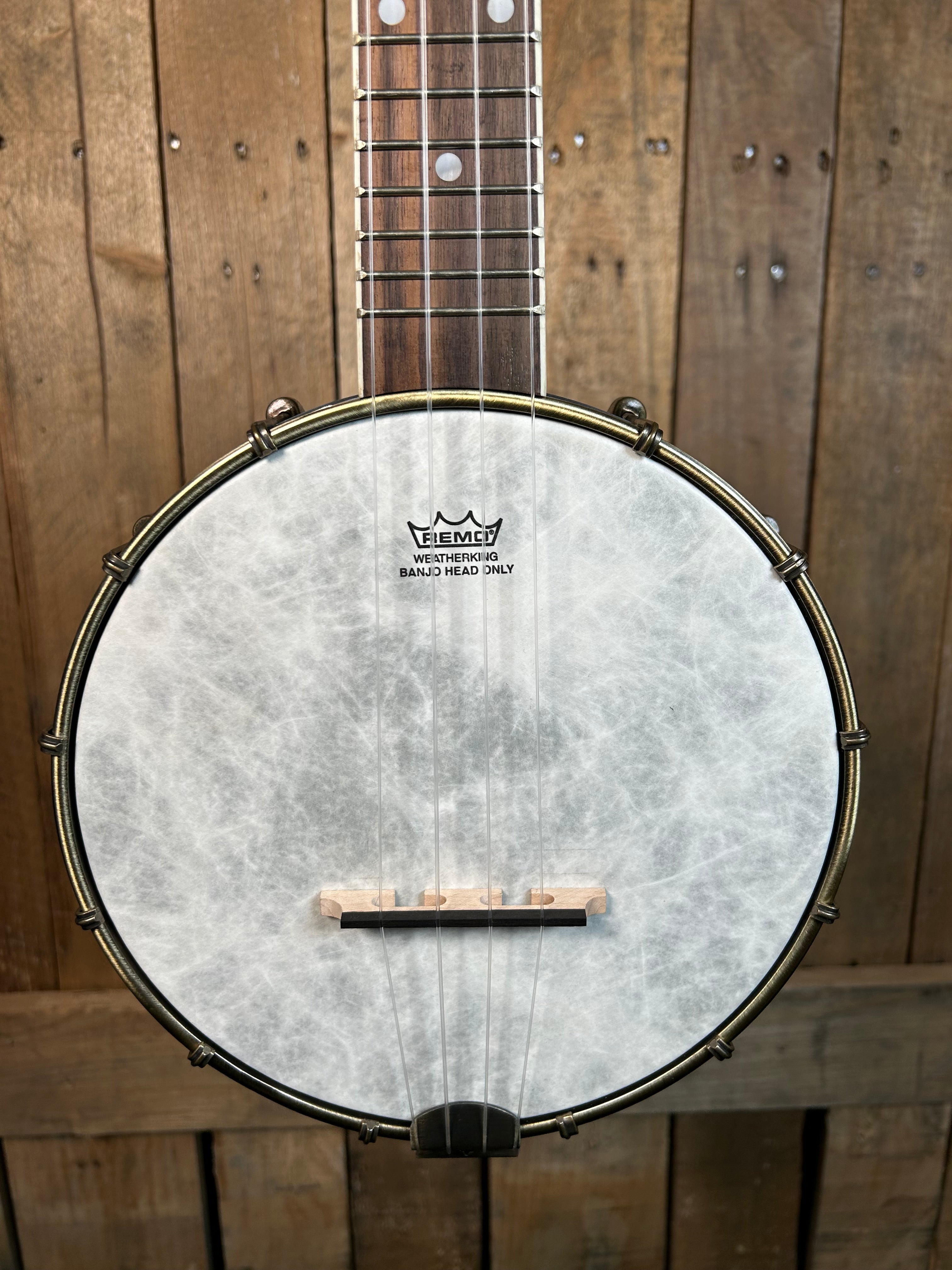 Kala Concert Banjo Ukulele-Black