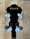 Ibanez B200 5-string Resonator Banjo