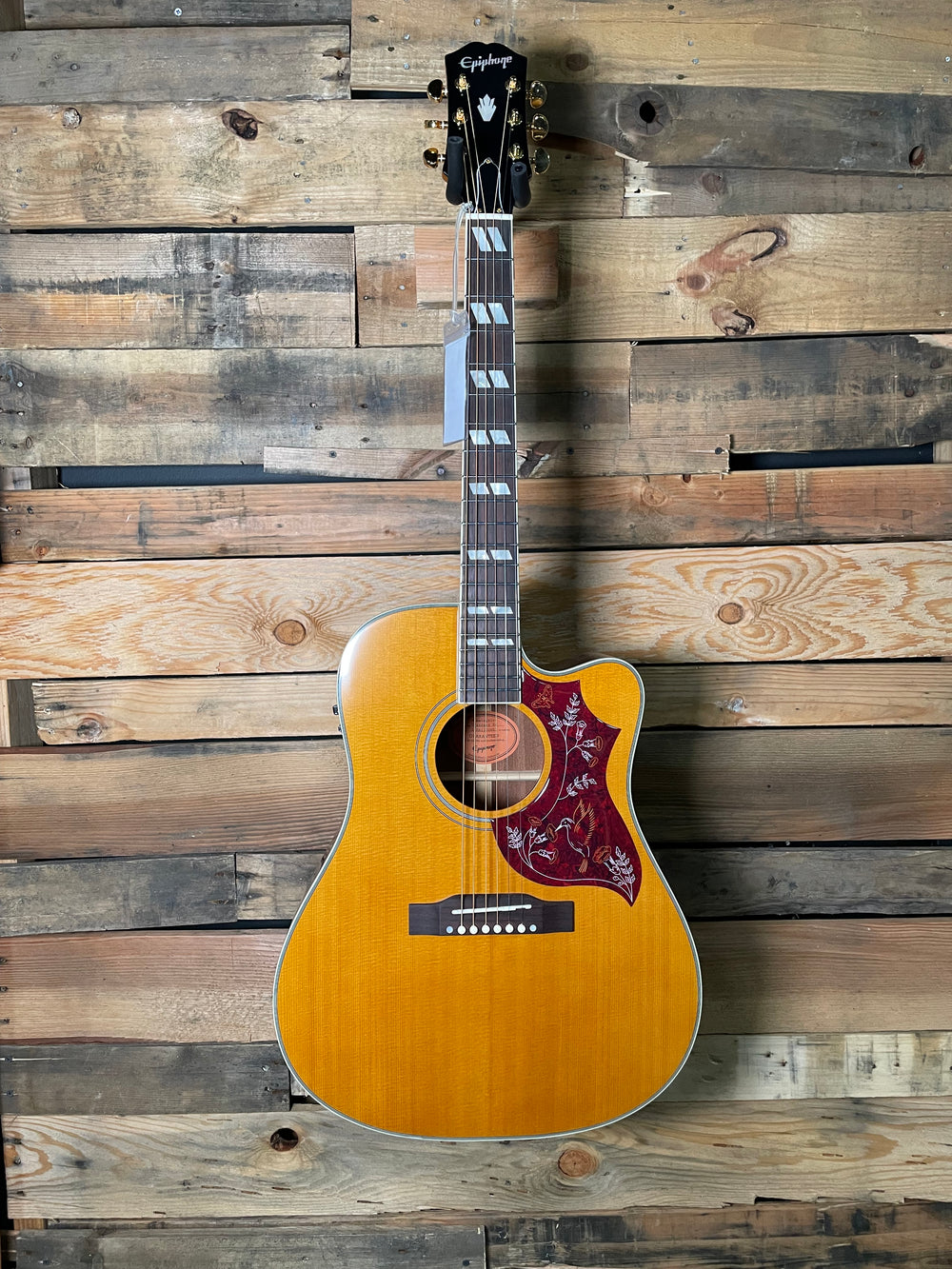 Epiphone Hummingbird Standard