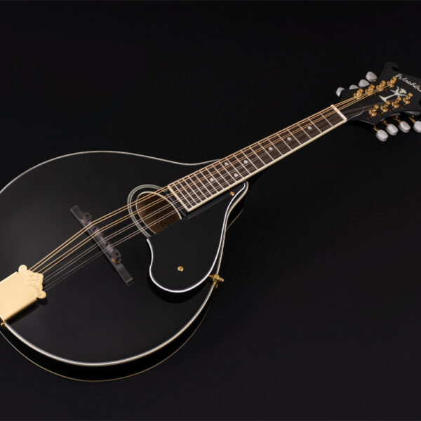 Washburn M1SDLB-A-U M1SD Americana Series A-Style Mandolin - Black