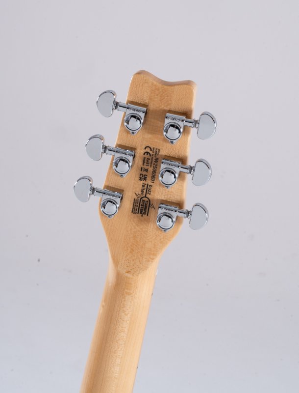 Washburn R5CB Wing Series Raven Electric Guitar - Cherry Sunburst