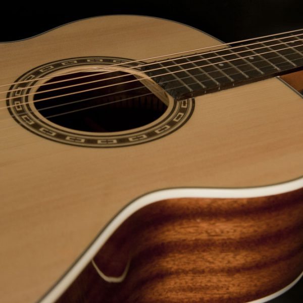 Washburn WG7S-O-U G7S