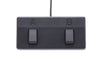 Boss Acoustic Singer Live 60w Acoustic Guitar Amp