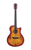 Washburn DFBACEA Deep Forest Burl Grand Auditorium Acoustic Electric Guitar. Amber Fade DFBACEA-U