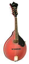 Washburn M1SD Americana Series A-Style Mandolin. Trans Red M1SDLTR-A-U
